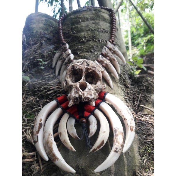 kalung taring khas dayak kalimantan borneo