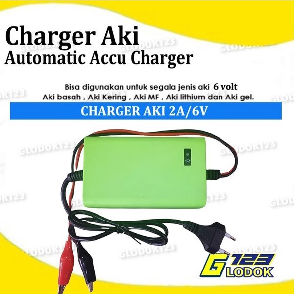 Alat Cas Charger Aki Accu Kering Basah 6V 12V 24V 2A 6A Motor Mobil