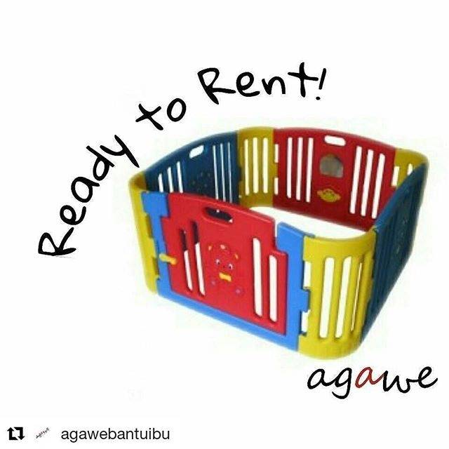 Babybear playzone eduplay