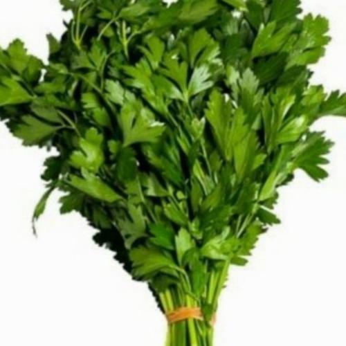 

Italian Parsley Pack 150 Gram.