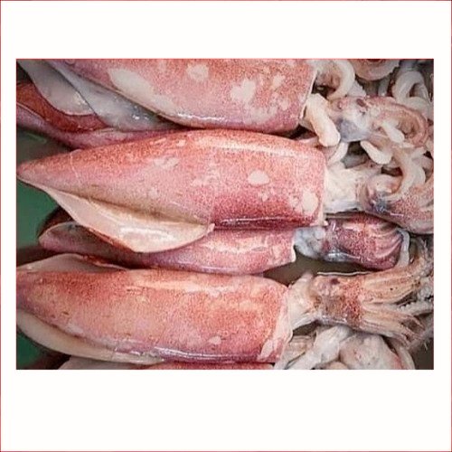 

Cumi-Cumi Ukuran Sedang 500gr | kan Segar | | Pasar Induk Pekanbaru #Harga_Grosir