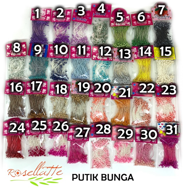 

Putik bunga sari bunga