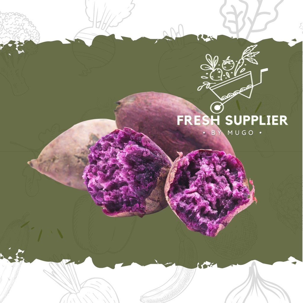 

Ubi Ungu 500g Fresh Supplier