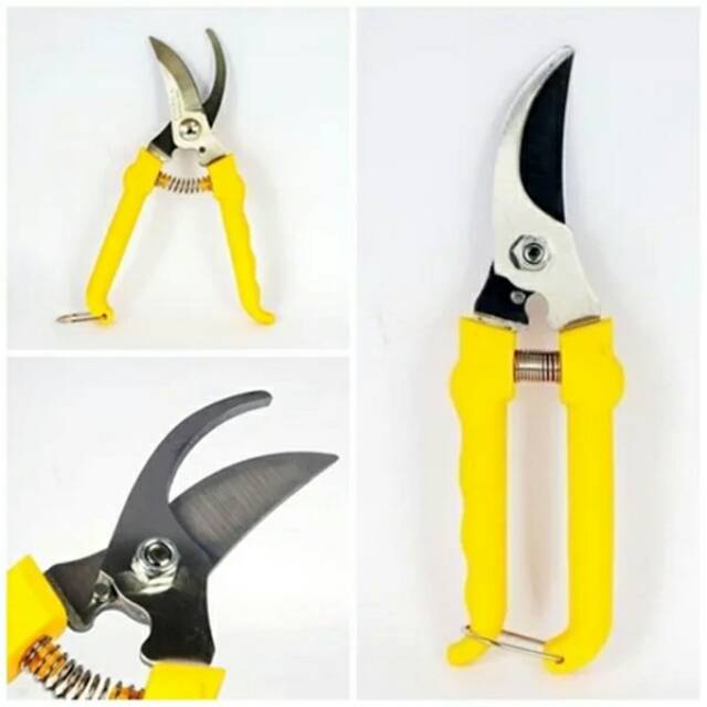 Gunting PROHEX Gunting Stek Dahan Cangkok Pruning Shears
