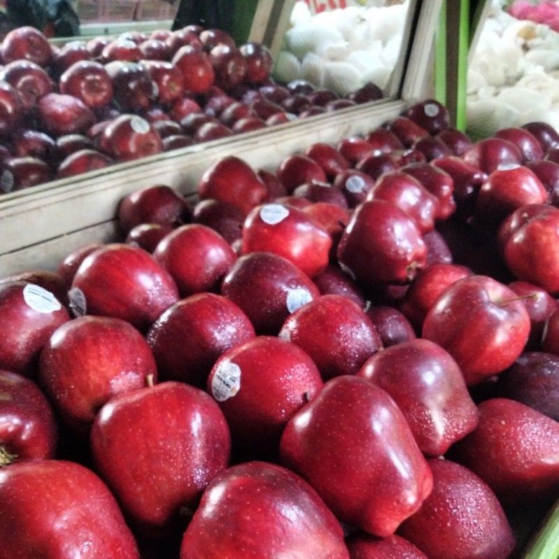 

Buah Segar Apel Merah USA | Manis - Renyah / 1Kg