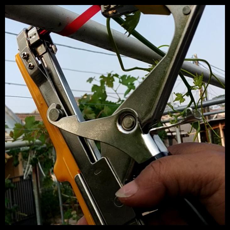 Alat Pengikat Tapetool Tanaman