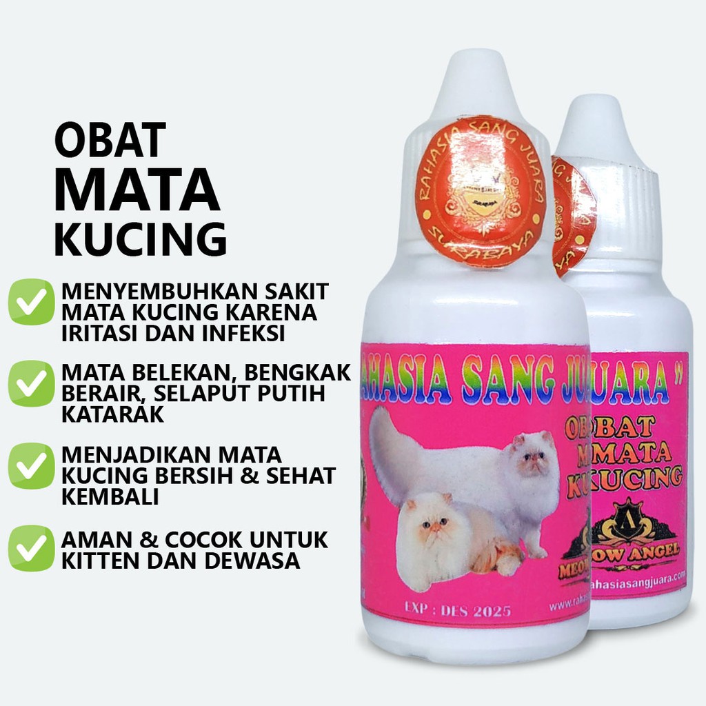 OBAT MATA KUCING BELEKAN BENGKAK BERAIR SELAPUT PUTIH KATARAK UNTUK KITTEN DAN DEWASA