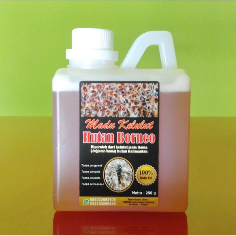 

Madu Kelulut Klanceng Trigona 1/2 kg (0,5 kg)