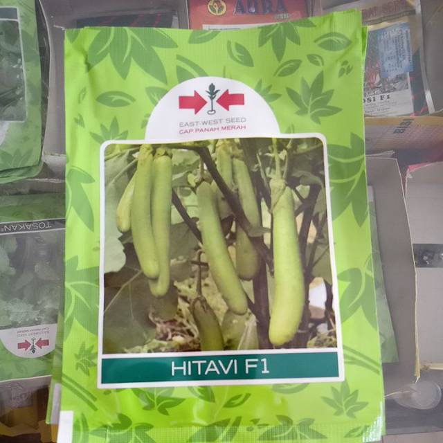 Terong hitavi panah merah