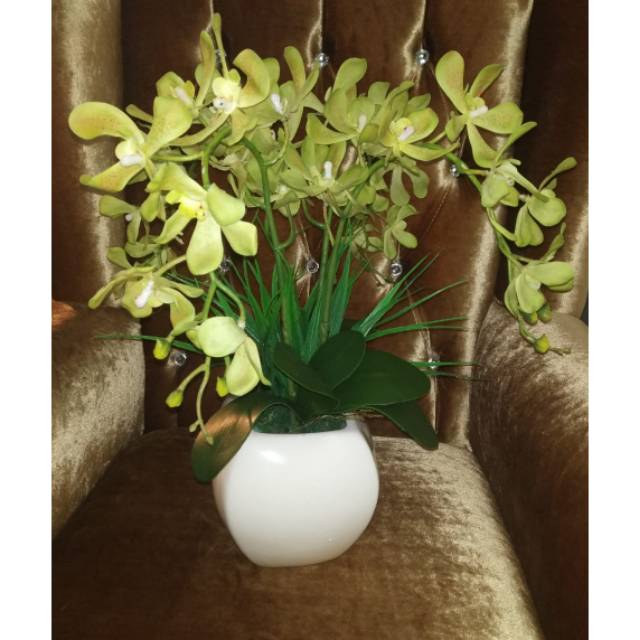 Anggrek latex pot keramik