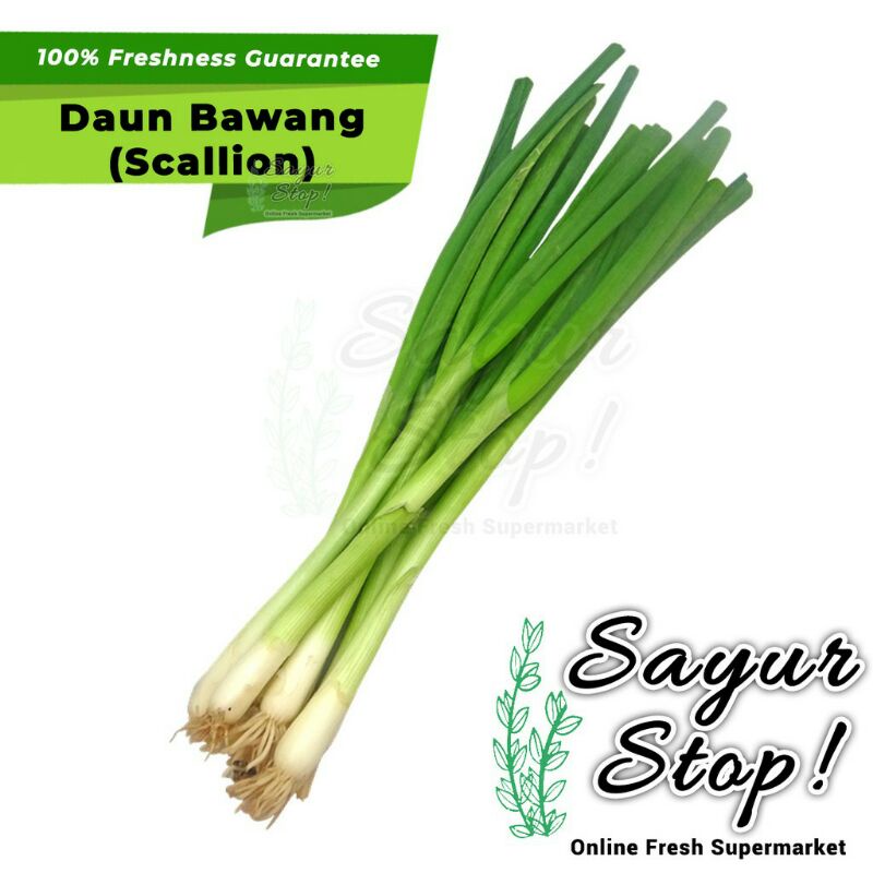 

Daun Bawang Fresh Segar