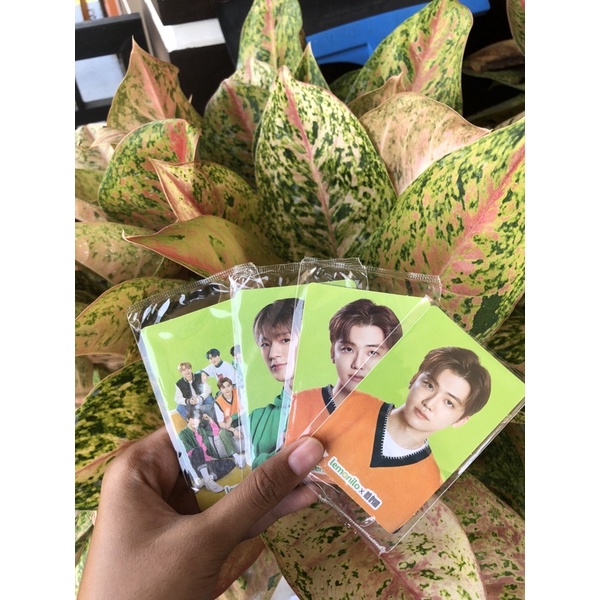 Photocard Lemonilo x NCT DREAM