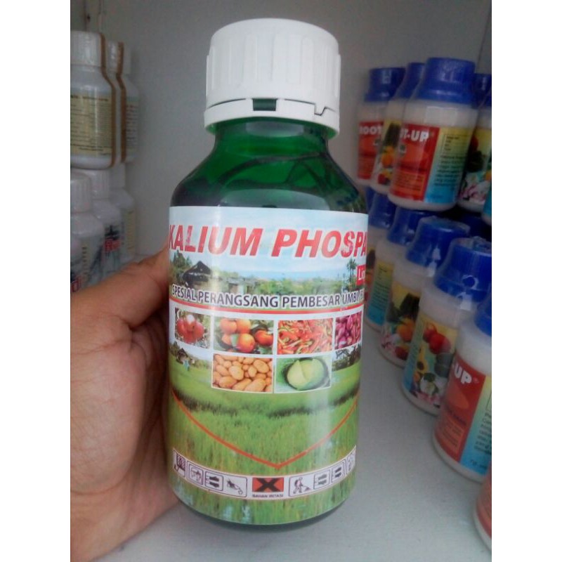 Kalium Phospate Liquid Special Perangsang Pembesar Umbi
