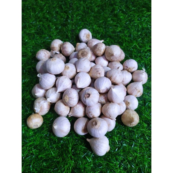 

Bawang Putih Lanang/Tunggal 100 gram