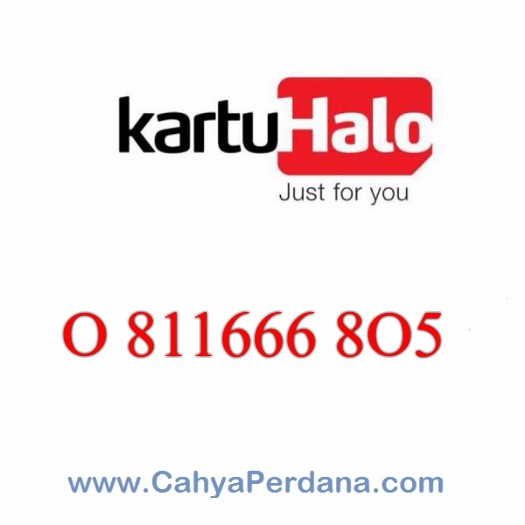 Kartu Halo 10 Digit Cantik BIG BOS 0 811666 805