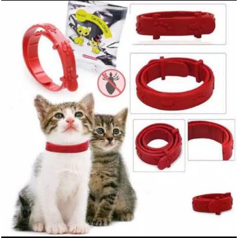 Natural Pest Control Collar Kalung Anti Kutu untuk Kucing Kelinci anjing zeorfarm