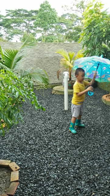 Payung Anak Dinosaurus Ada Sarung Air