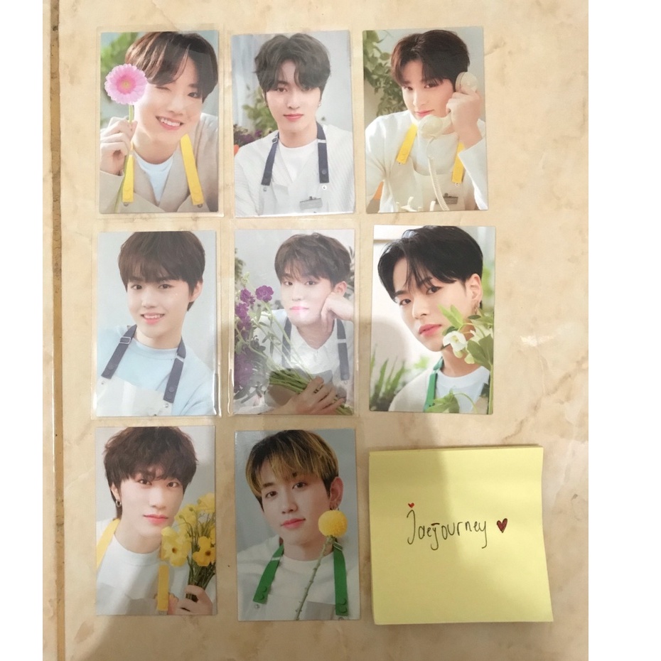 SHARING BINDER MD BLOOMING TREASURE