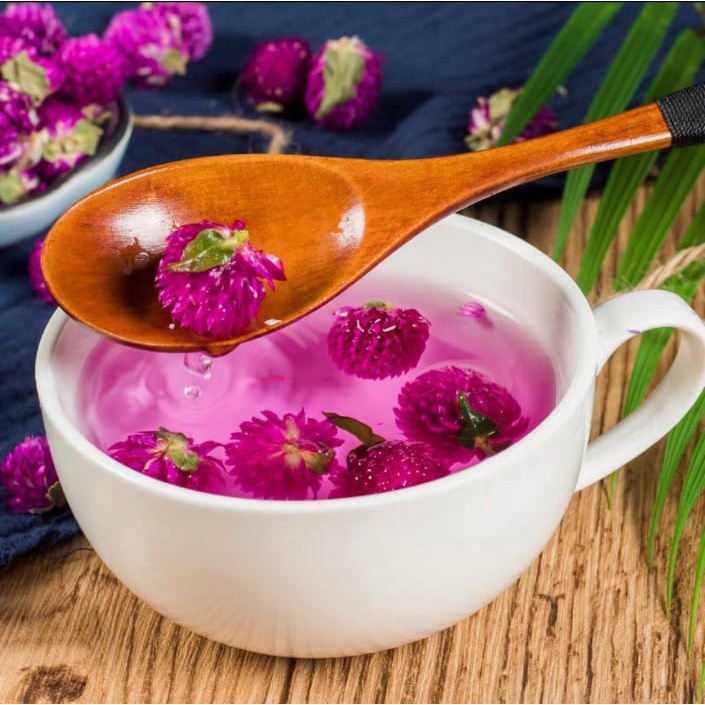 

Globe Amaranth , Teh Bunga Kancing, Bunga Kenop , Gomphrena Globosa bunga 100 hari