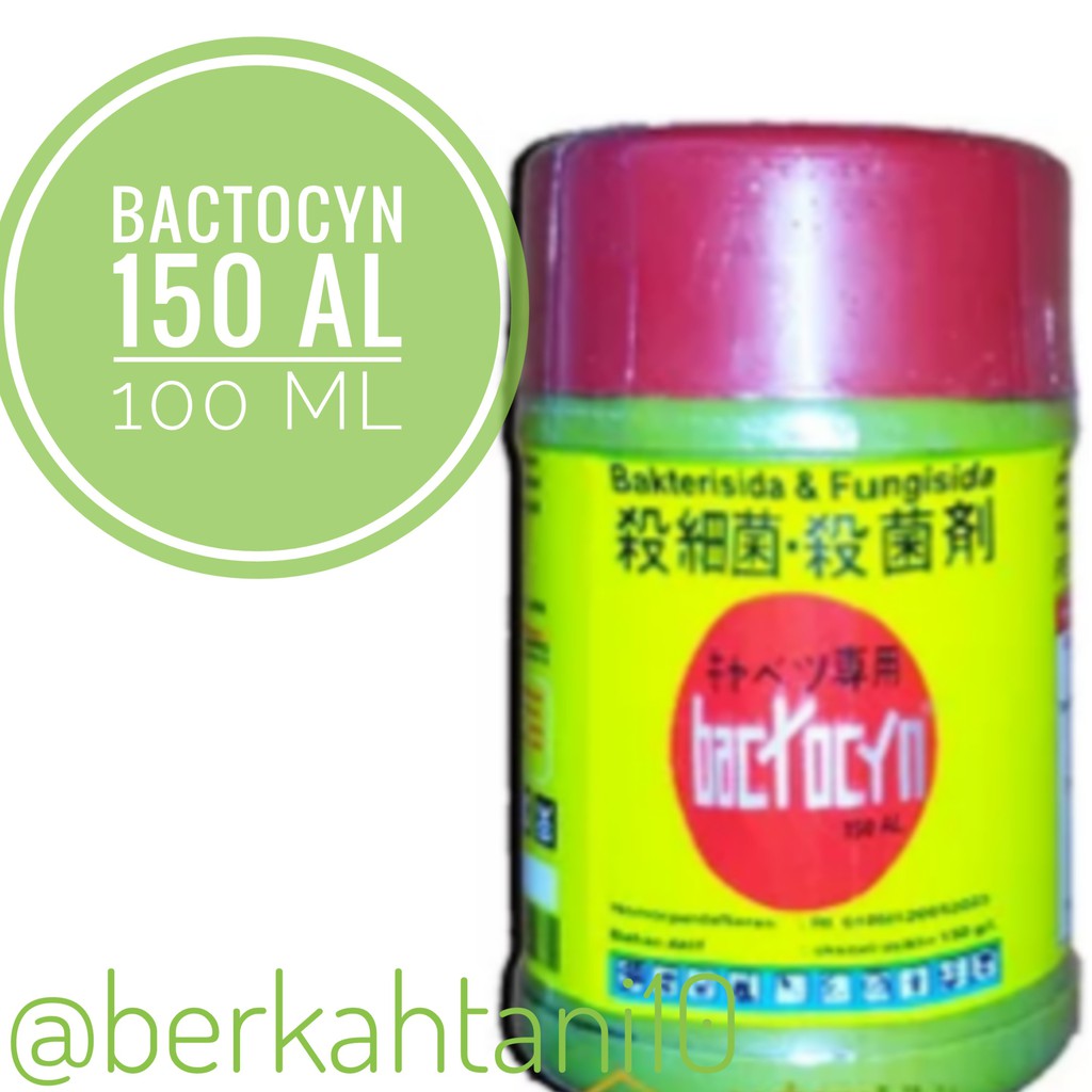 Bactocyn 100ml Bakterisida Fungisida