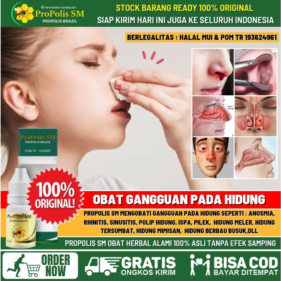 Obat Tetes Hidung Tersumbat Herbal, Hidung Pilek Menahun, Salesma Tak Kunjung Sembuh, Hidung Meler, 