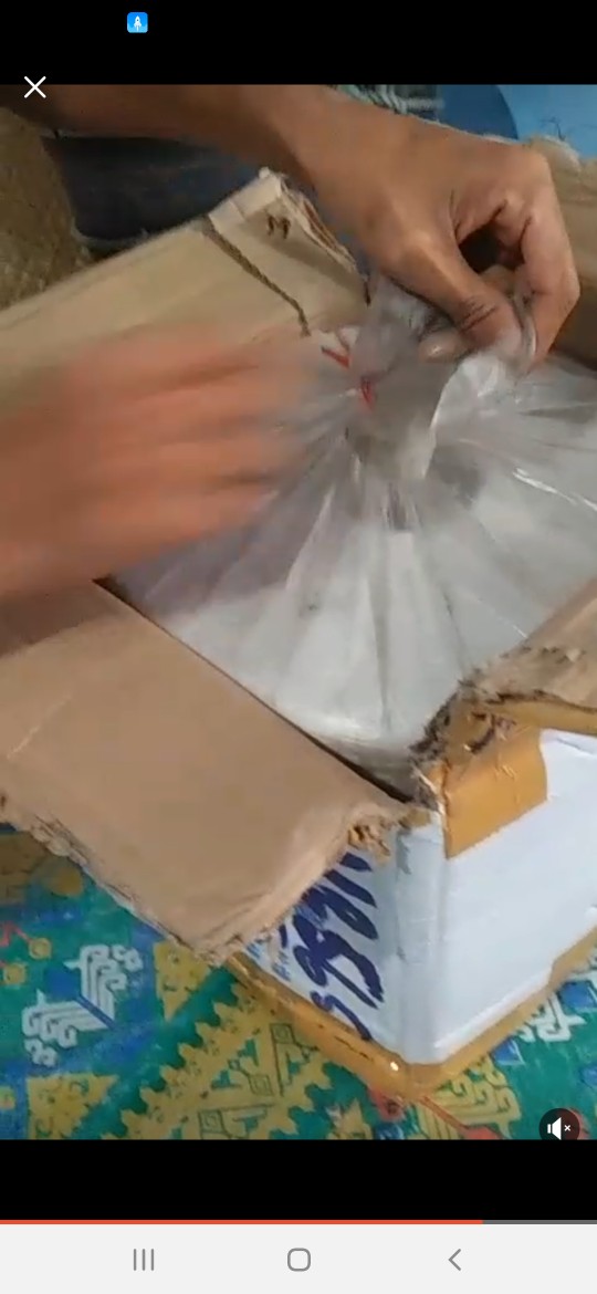 Serat Roving / Serat Gypsum / Benang Fiberglass For Gypsum 4800 Tex 20 Kg