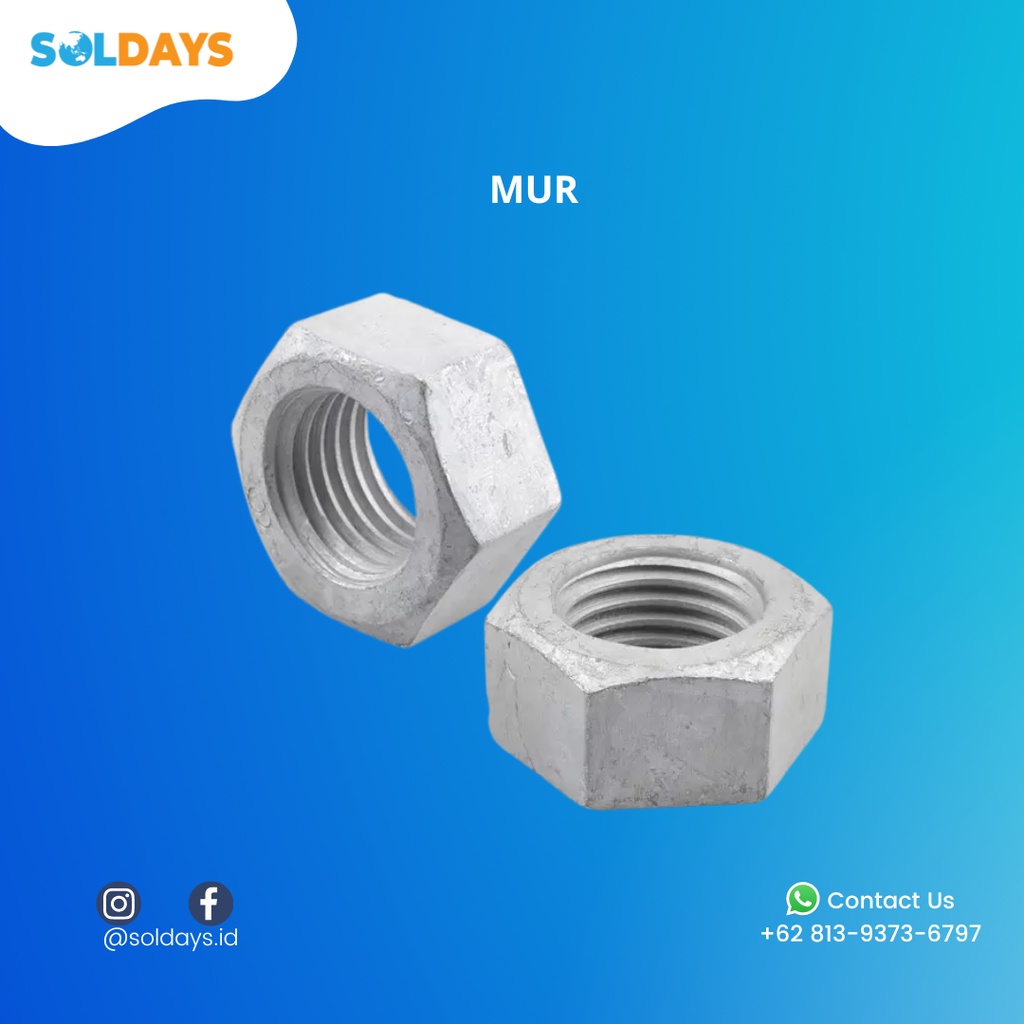 SOLDAYS Mur Nut / Stainless Steel Mur / Mur Galvanis