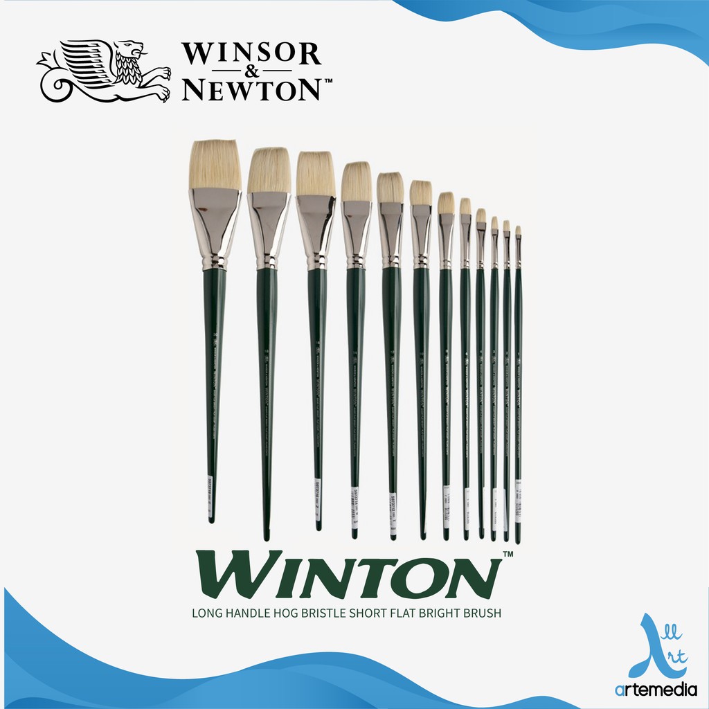 

Winsor & Newton Winton Hog Short Flat Bright Bristle Brush Long Handle - 02/02