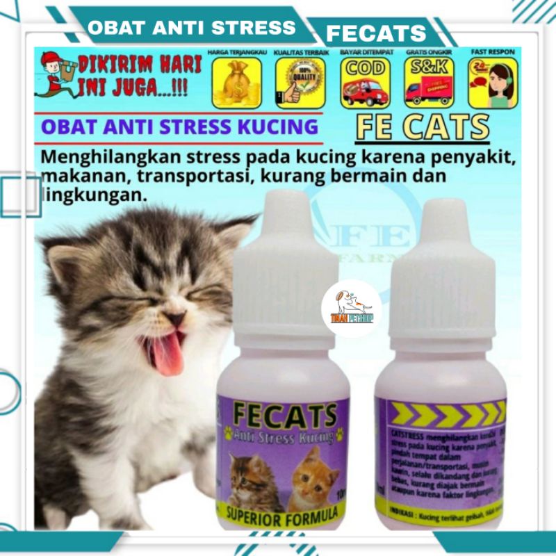 Obat Kucing Anti Stres Penghilang Stress Kucing Cat Kitten Fecats Ampuh