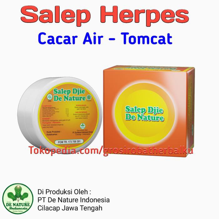Obat Kulit Salep Dji Obat Herpes Gigitan Tomcat Luka Lecet Di Kemaluan Cacar Air Shopee Indonesia
