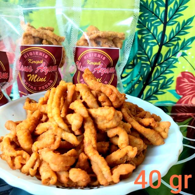 

KERIPIK USUS AYAM MINI MURAH