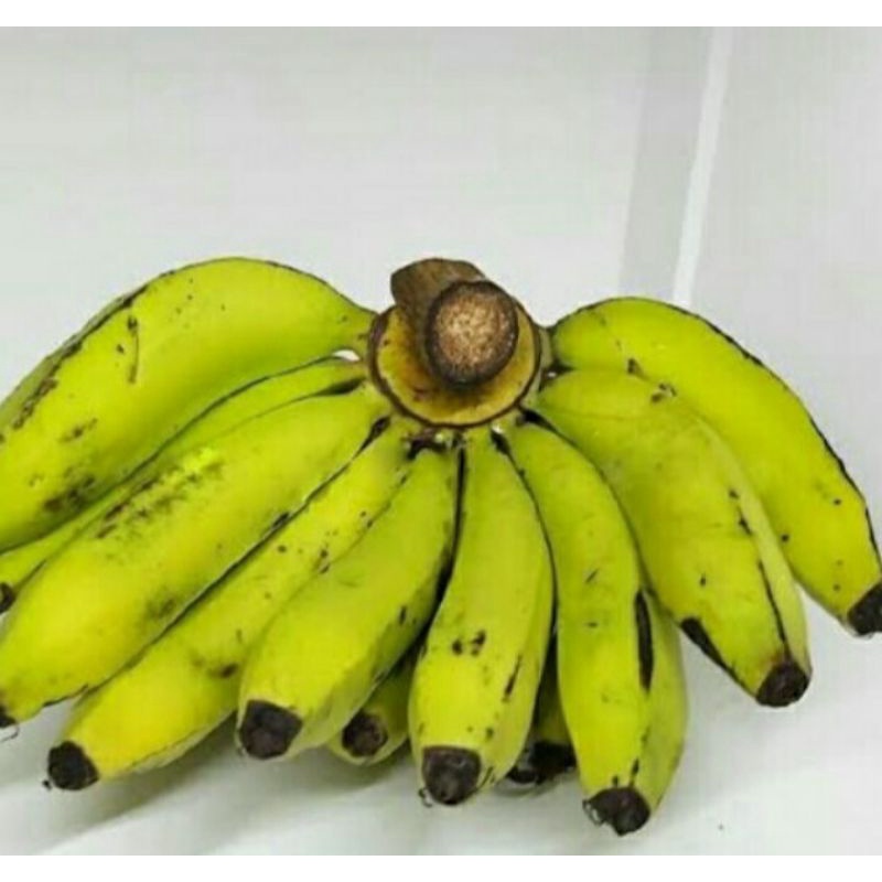 

PISANG AMBON 1 Sisir