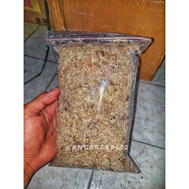 Spagnum mos putih media tanam anggrek original siap pakai 100 gr