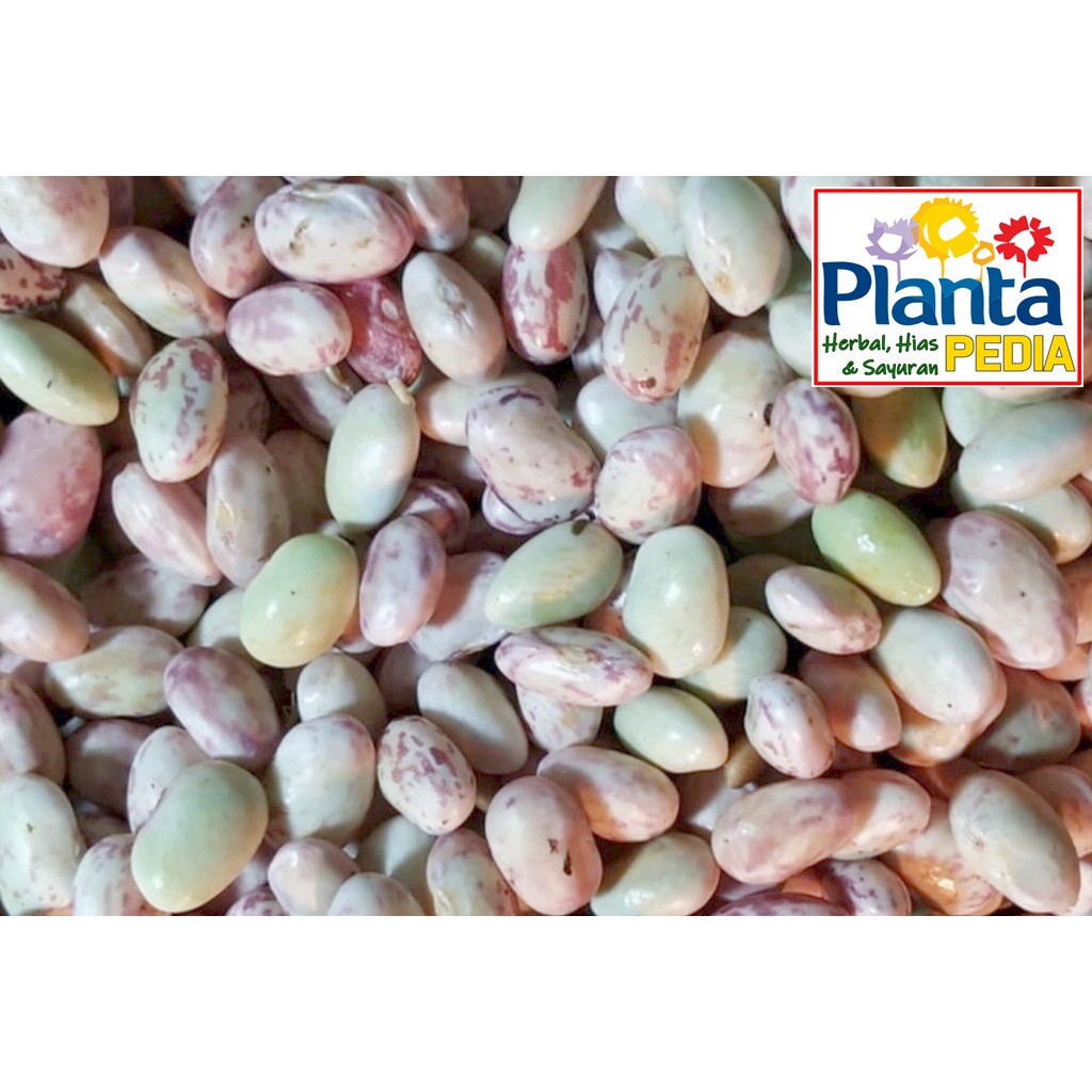 

KACANG MERAH ENDUL SAYURAN SEGAR MAKANAN SEGAR MINUMAN DIET SEHAT JANTUNG BUMIL IBU HAMIL, DIABETES