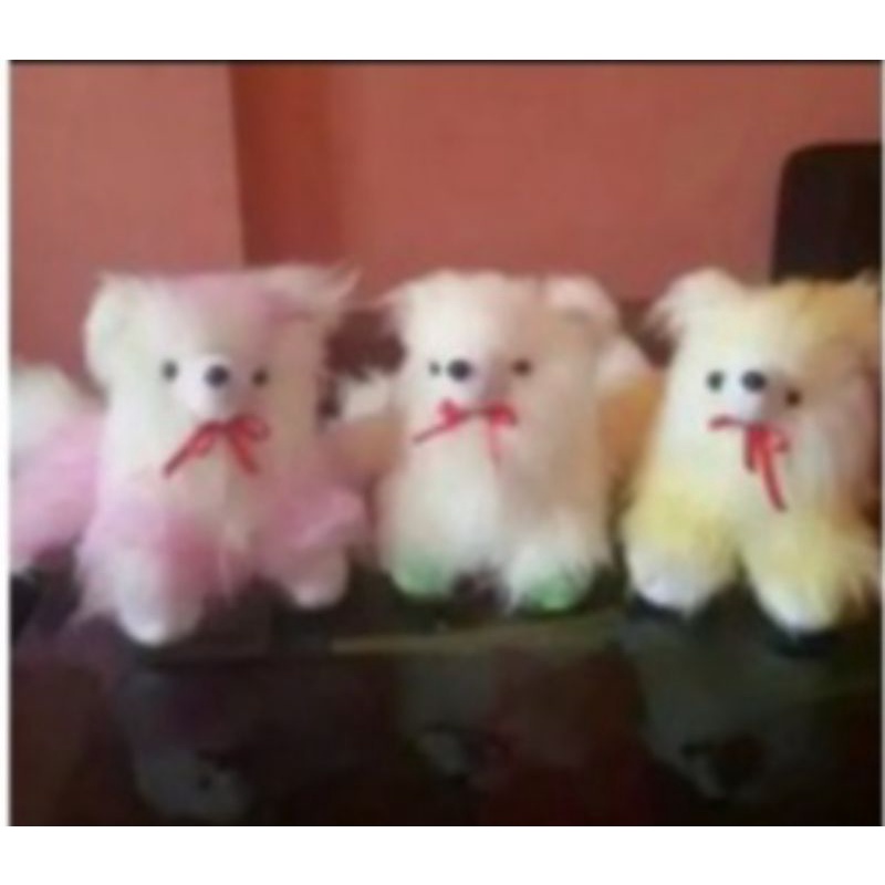 Boneka Kucing Angora Lucu Bulu Jabrig Korea Murah