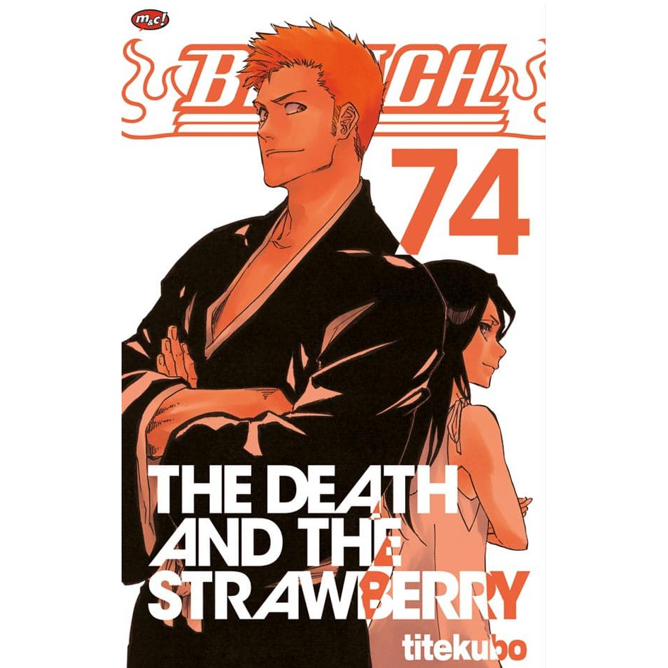 Bleach 74 - tamat  Grosir