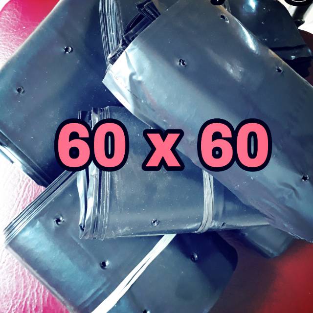 Polybag Tebal Buat Tanaman Besar Ukuran 60 x 60 Cm 10 Lembar