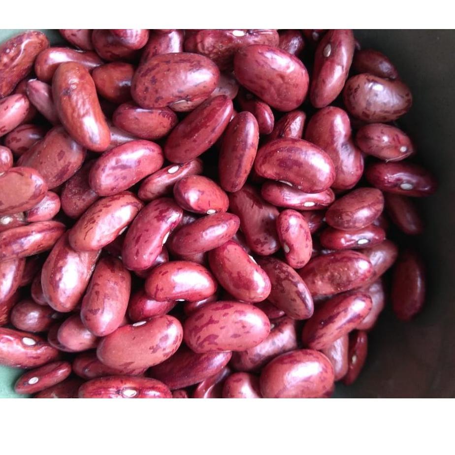 

Beli Dong--Kacang Merah 1 kg