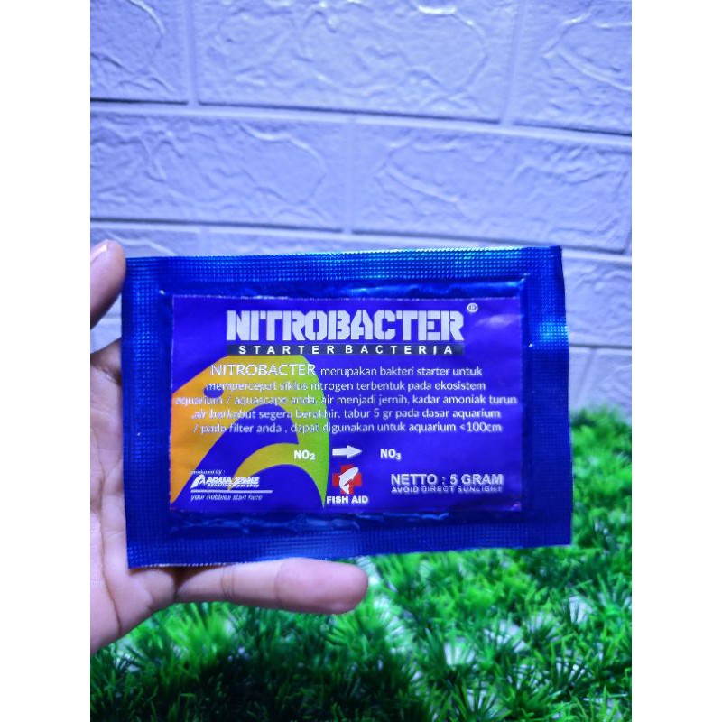 NITROBACTER - STARTER BACTERIA