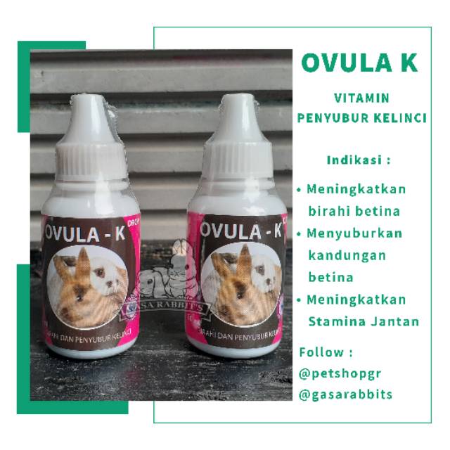 VITAMIN KELINCI OVULA K - VITAMIN PENYUBUR KELINCI - VITAMIN BIRAHI KELINCI - OBAT KELINCI