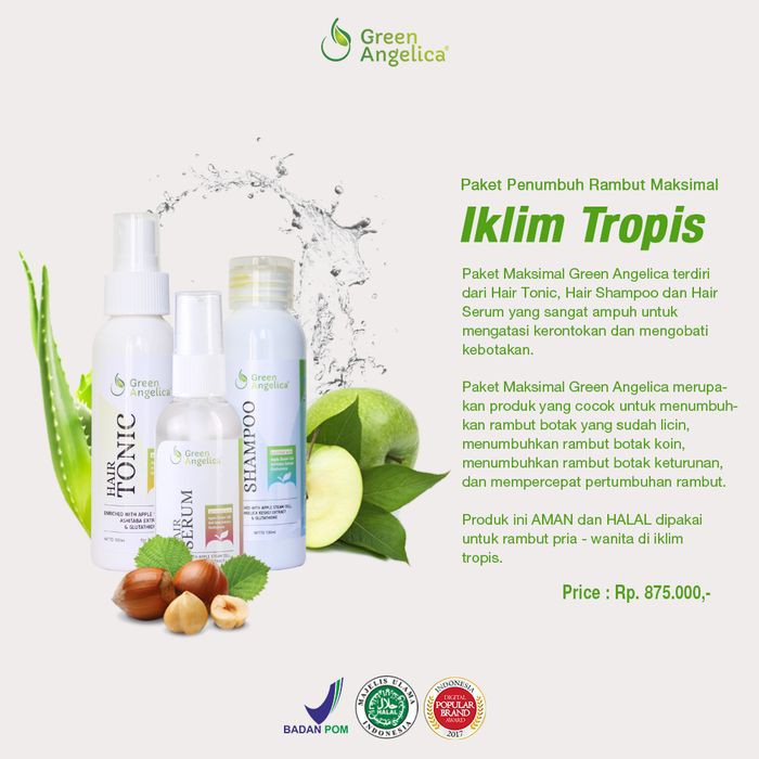 Paket Maksimal Green Angelica Shampoo Tonic Serum Untuk  Rambut Rontok Menipis Botak