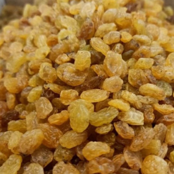 

Kismis golden raisin 1 kg / kismis Asam Manis / oleh haji umroh