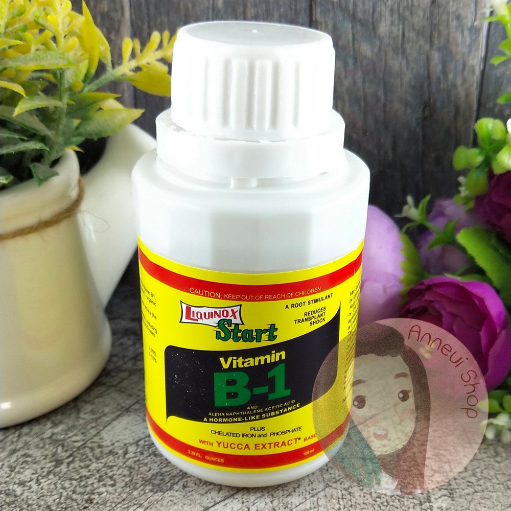 Vitamin B1 Liquinox 100 ml Pupuk Akar Hormon Anti Stress VO0003