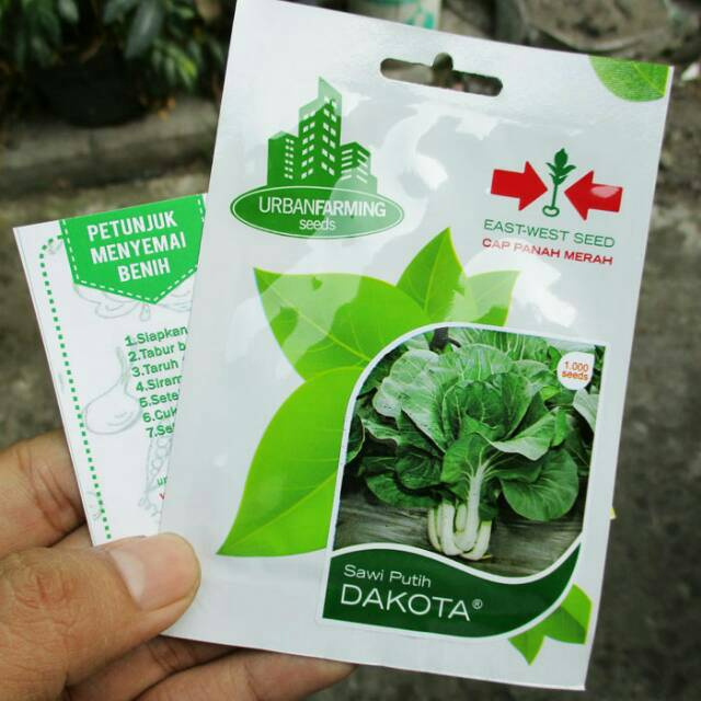 Caisim DAKOTA Panah Merah