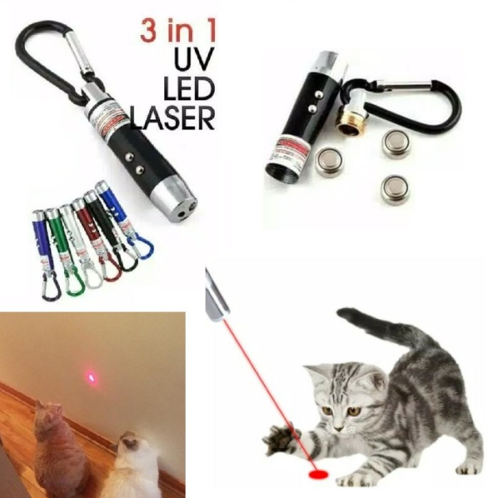 laser mainan anak Kucing persia peaknose kampung dome anjing pointer