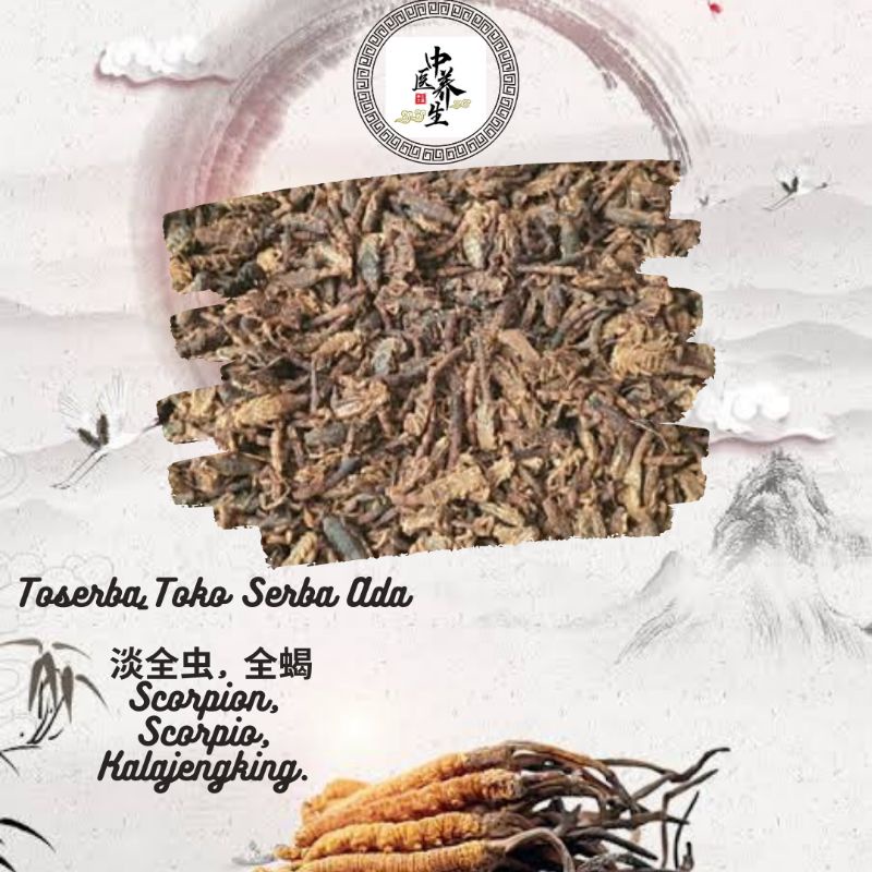 

100gr Dan Quan Chong 淡全虫 Quan Xue Scorpion Kalajengking Grade A