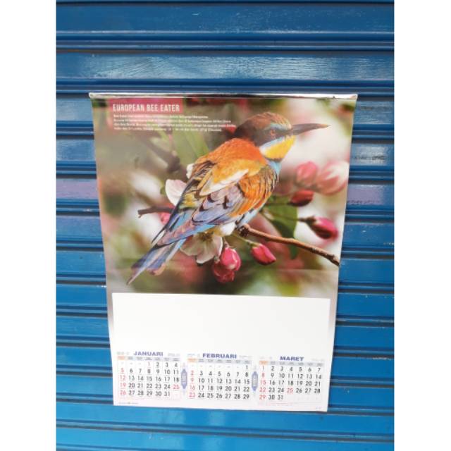 

Kalender dinding motif Burung Cantik tahun 2020