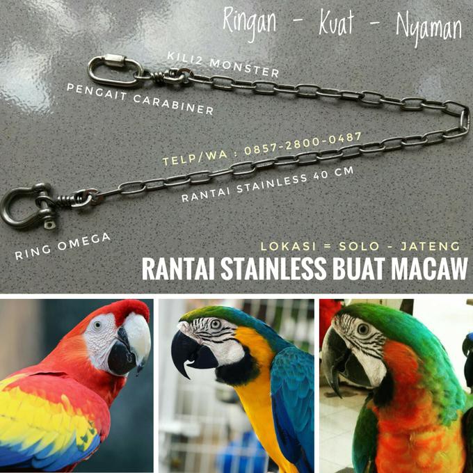 Satu Set Rantai Untuk Burung Parrot Macau dan Kakak Tua Raja BOOM SALE