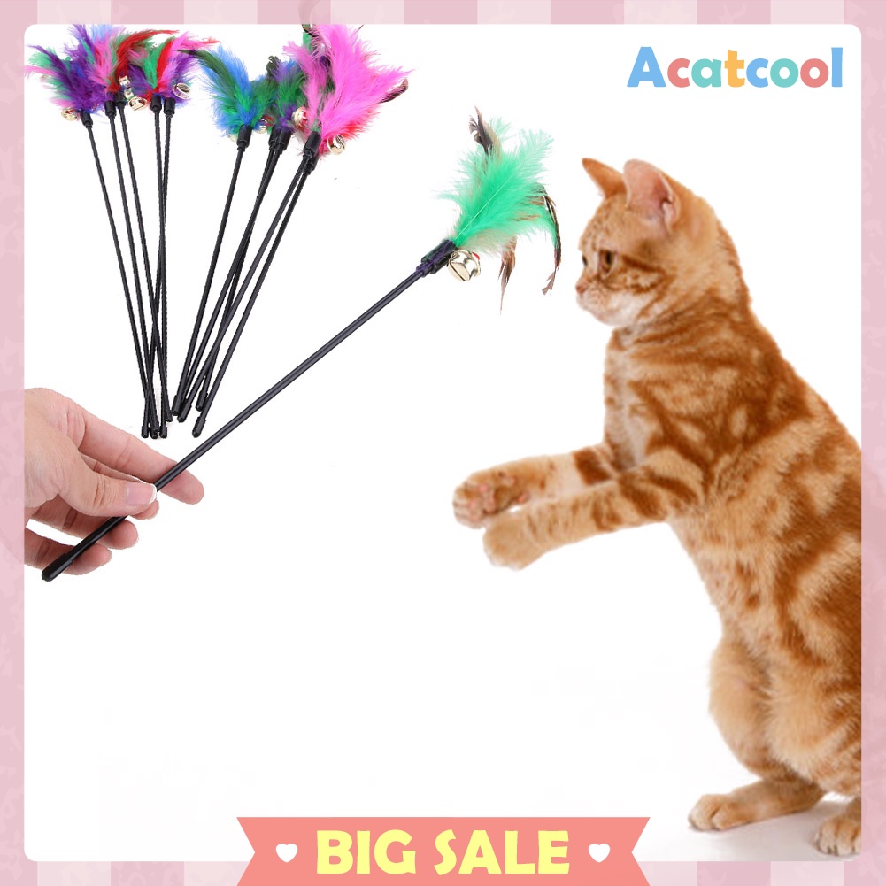 5pcs Cat Kitten Pet Teaser Turkey Feather Interactive Stick Toy Wire Chaser