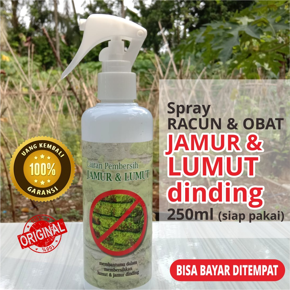 Spray PEMBERSIH LUMUT &amp; JAMUR  DINDING 250ml